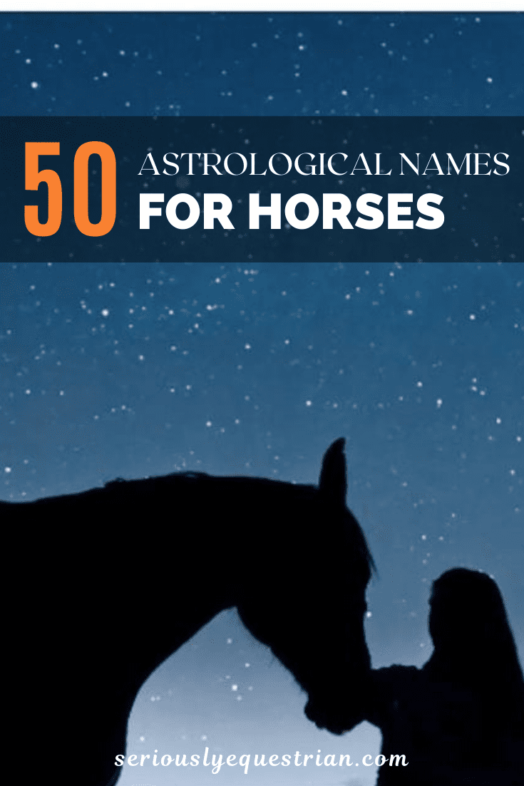 80 Astrological Names for Horses Seriously Equestrian