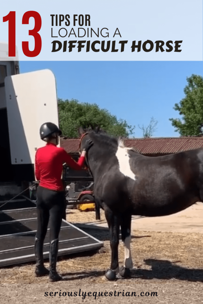 13 Tips for Loading a Difficult to Load Horse Seriously Equestrian