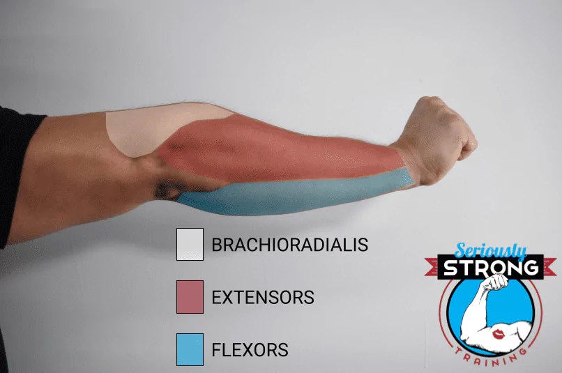 The 6 Best Exercises To Build Bigger Forearms Seriously Strong Training