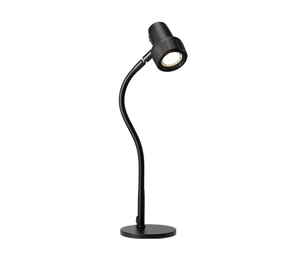 Spare Bulbs For Your Reading Light Serious Readers