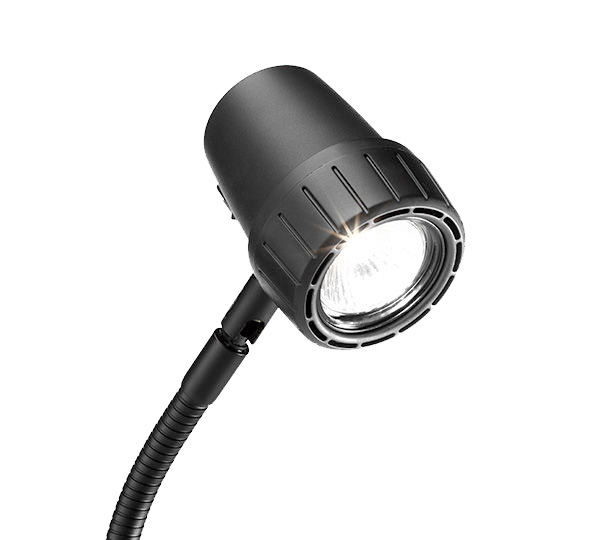 Spare Bulbs For Your Reading Light Serious Readers