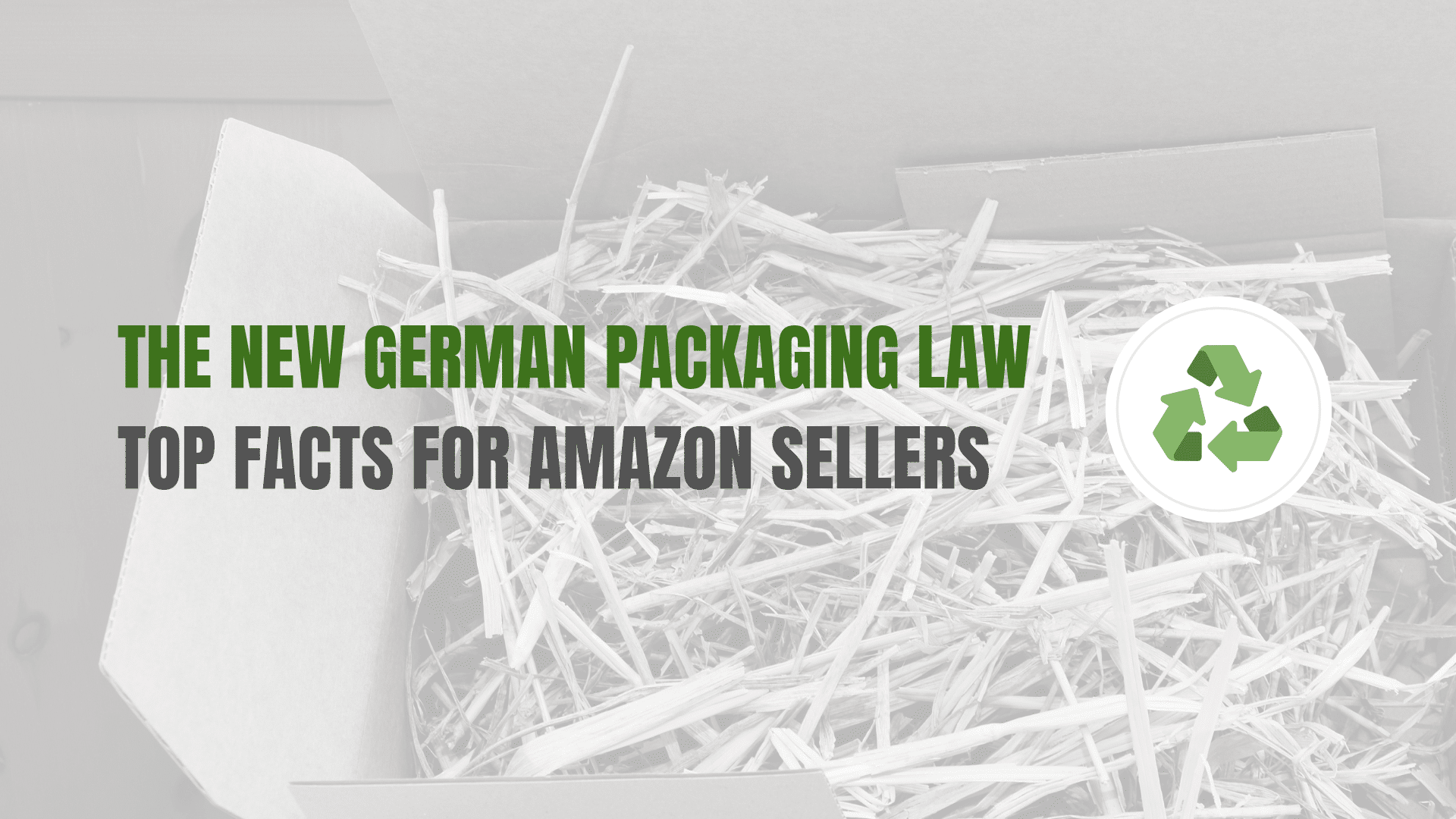 German Packaging Law Ultimate Guide for Amazon FBA Sellers