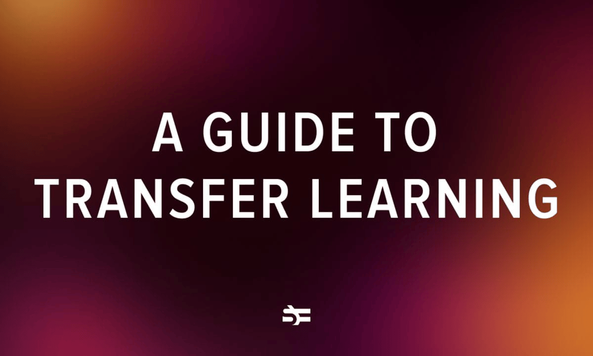 Understanding Transfer Learning