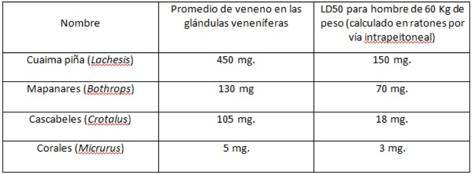 El Veneno Serpientes de Venezuela