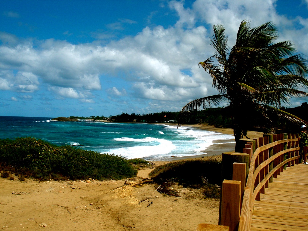 Isabela, naturaleza salvaje y surfing en Puerto Rico Puerto Rico
