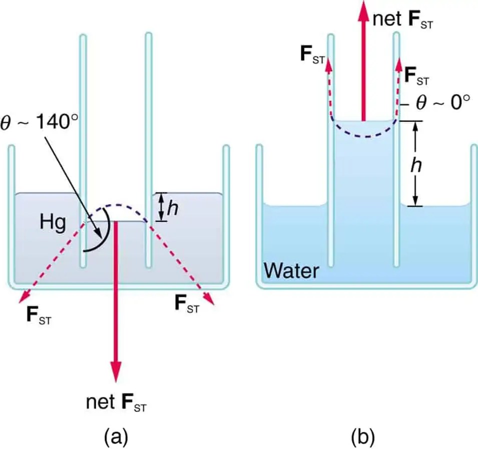 Surface Tension And Its Dimensional Formula » Servantboy