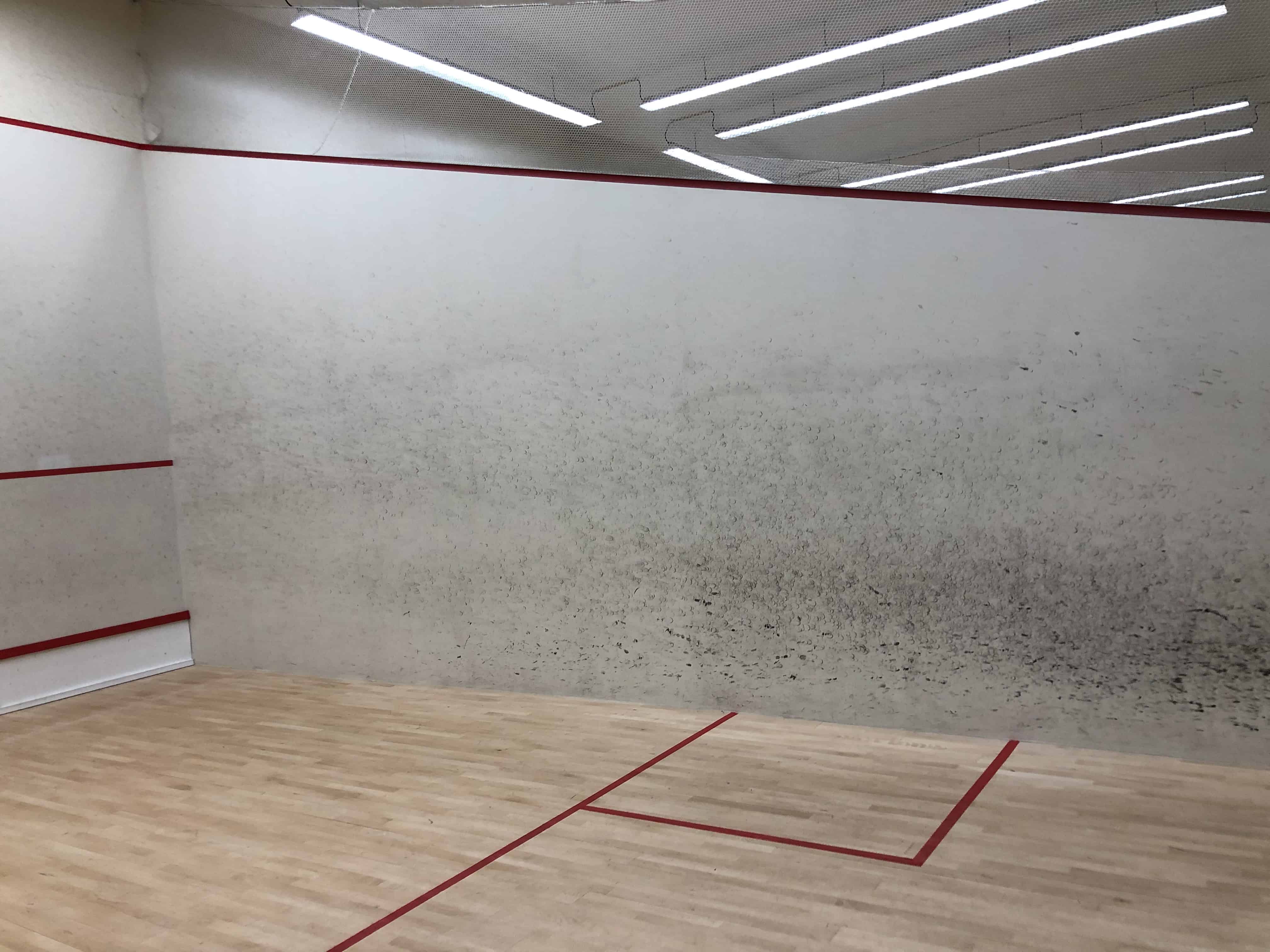 What Are Squash Courts Made Of? Serve and Smash