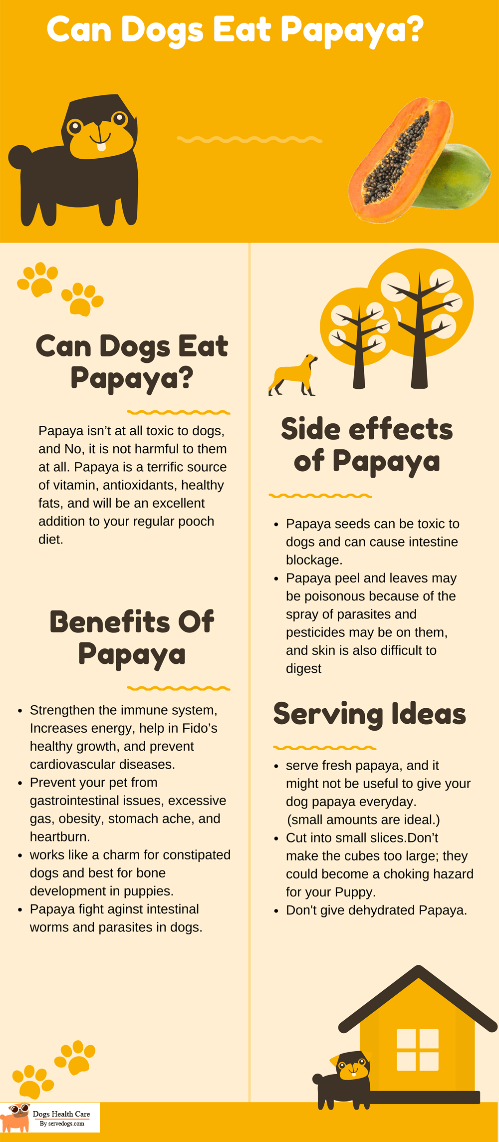 Can Dogs eat papaya Side effects Vs Benefits complete Guide