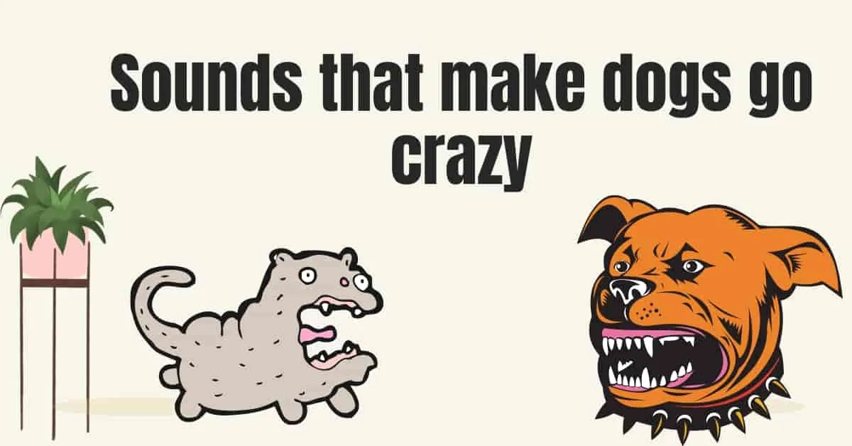 Why do dogs lick your hands? 6 Reasons