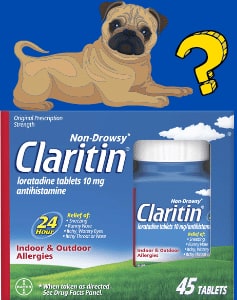 How much Claritin for dogs - Claritin dose by weight