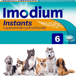 How much Imodium is safe for dogs? Safe dosage - Serve Dogs
