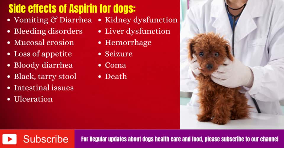 Can dogs have Aspirin for pain? (Side EffectsSymptoms