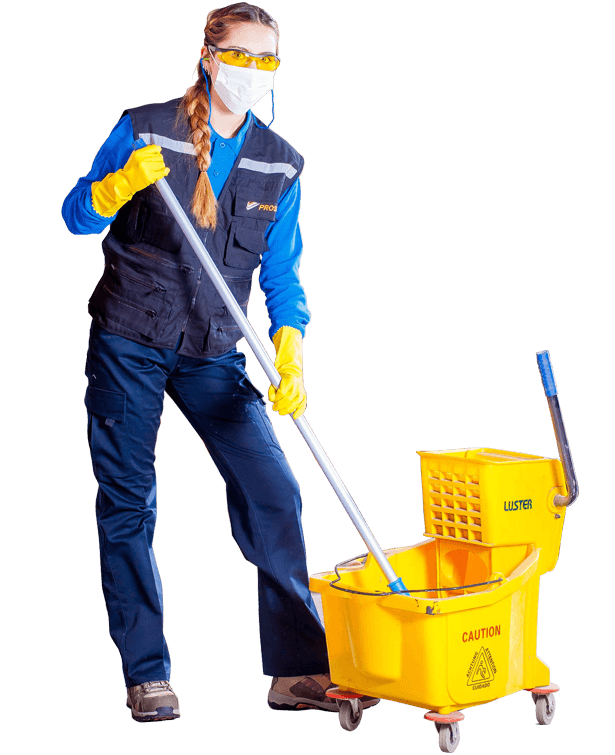 Sofa Carpet Cleaning Services Dubai Matttroy