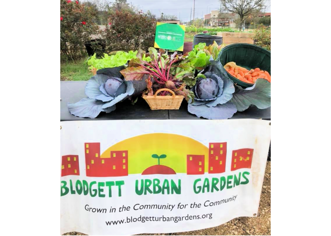 BLODGETT URBAN GARDENS Houston Volunteer Opportunities ⋆ Serve for Good