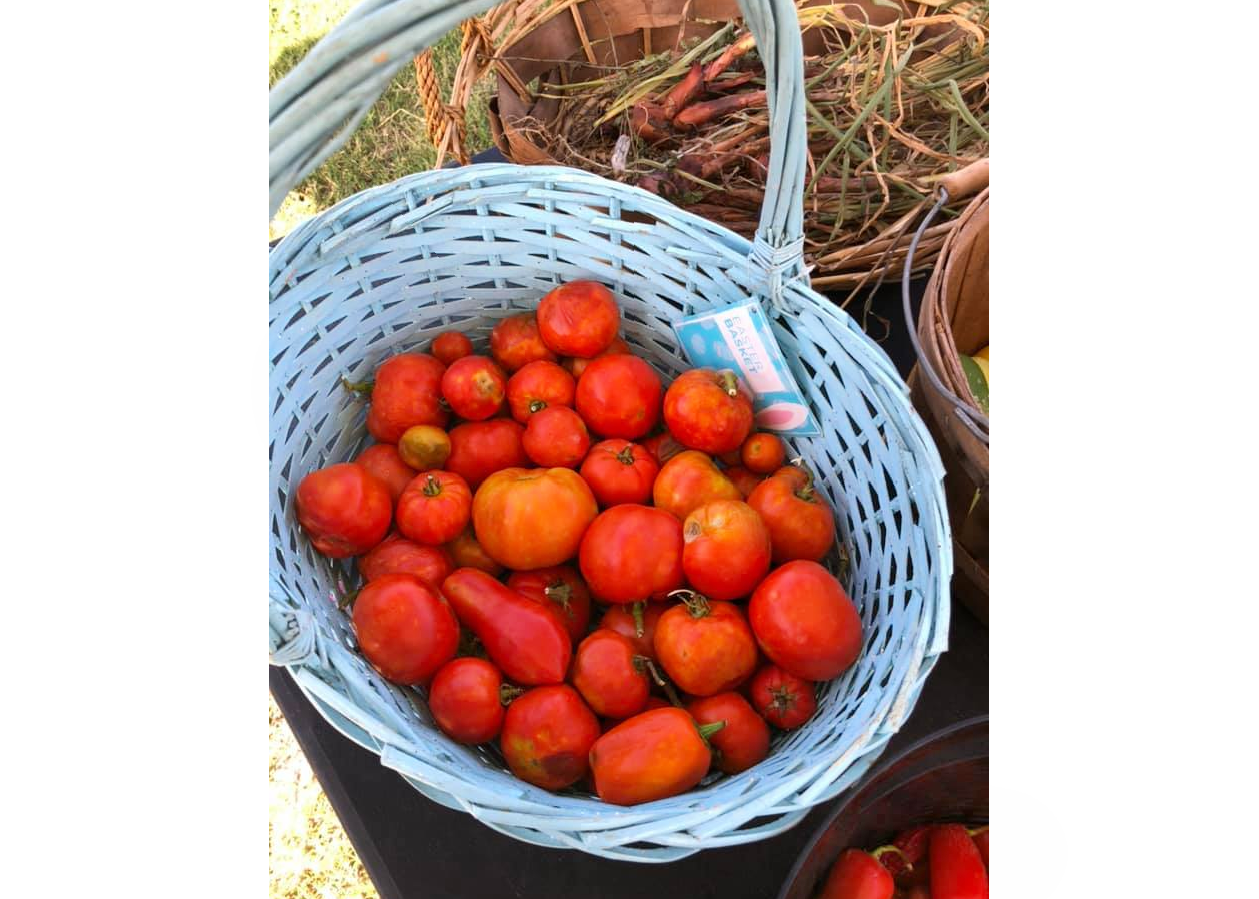 BLODGETT URBAN GARDENS Houston Volunteer Opportunities ⋆ Serve for Good