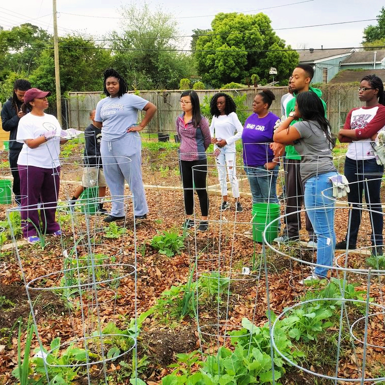 BLODGETT URBAN GARDENS Houston Volunteer Opportunities ⋆ Serve for Good