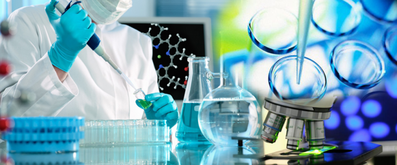 Pruebas Realizadas Laboratorio Clínico Principal