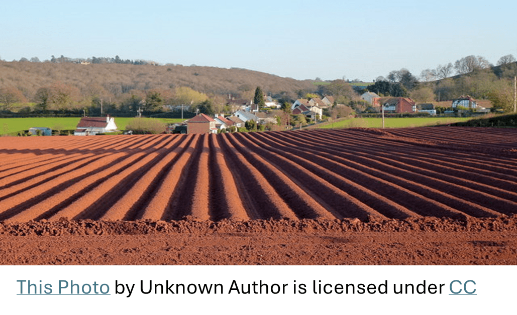 Terraforma What Can We Learn from Africa’s Great Green Wall? case study