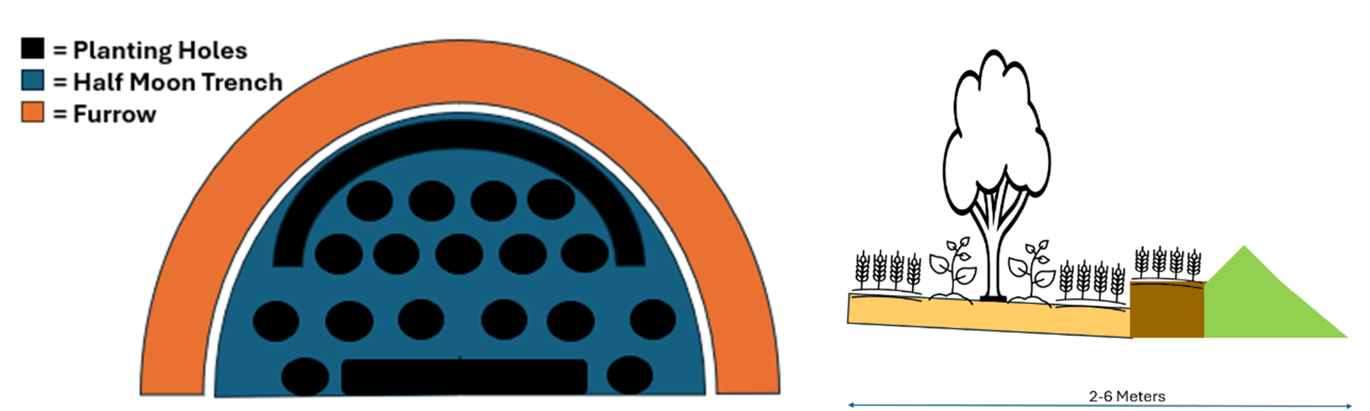 Terraforma What Can We Learn from Africa’s Great Green Wall? case study