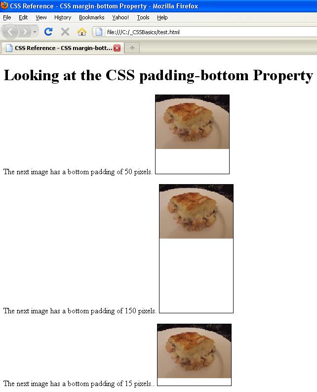 CSS paddingbottom Property