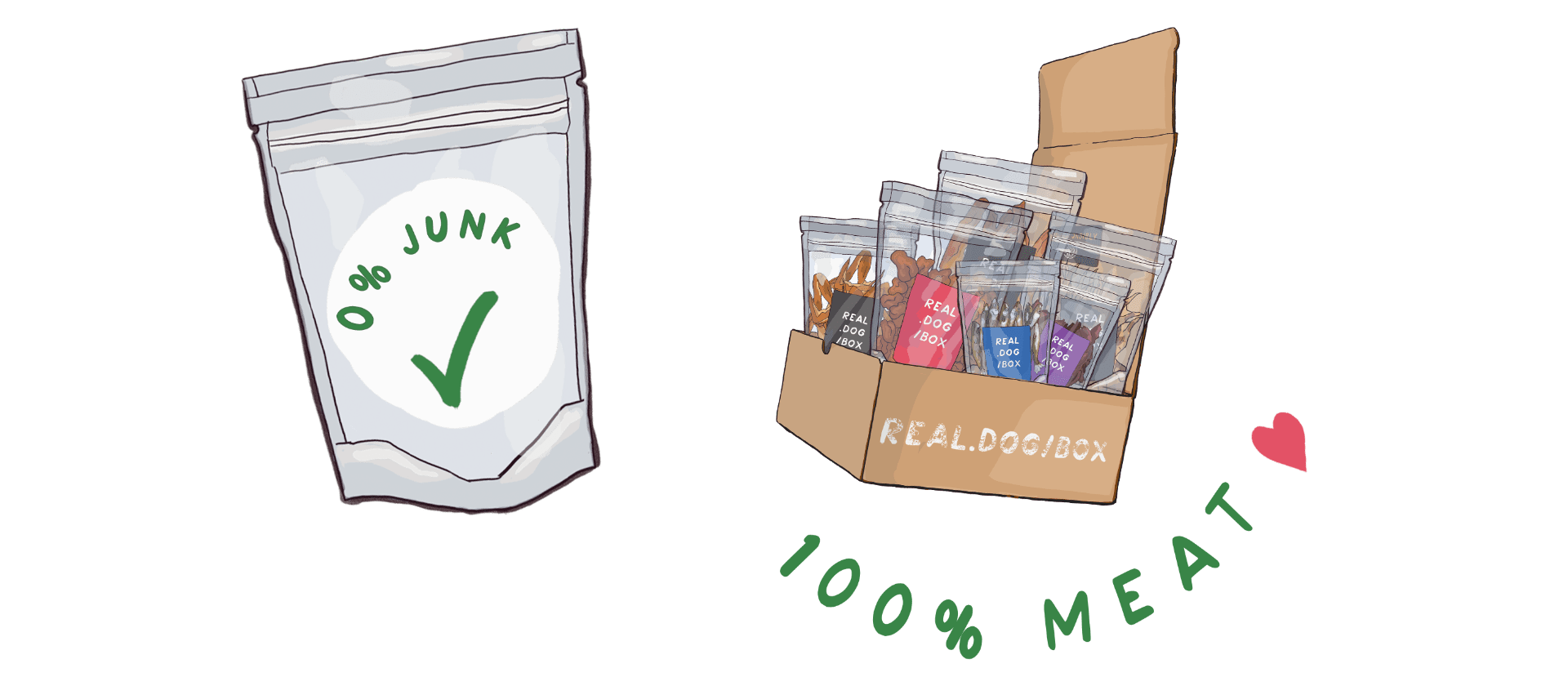 Beyond HumanGrade The Authentic Truth about Dog Wellness Real Dog Box