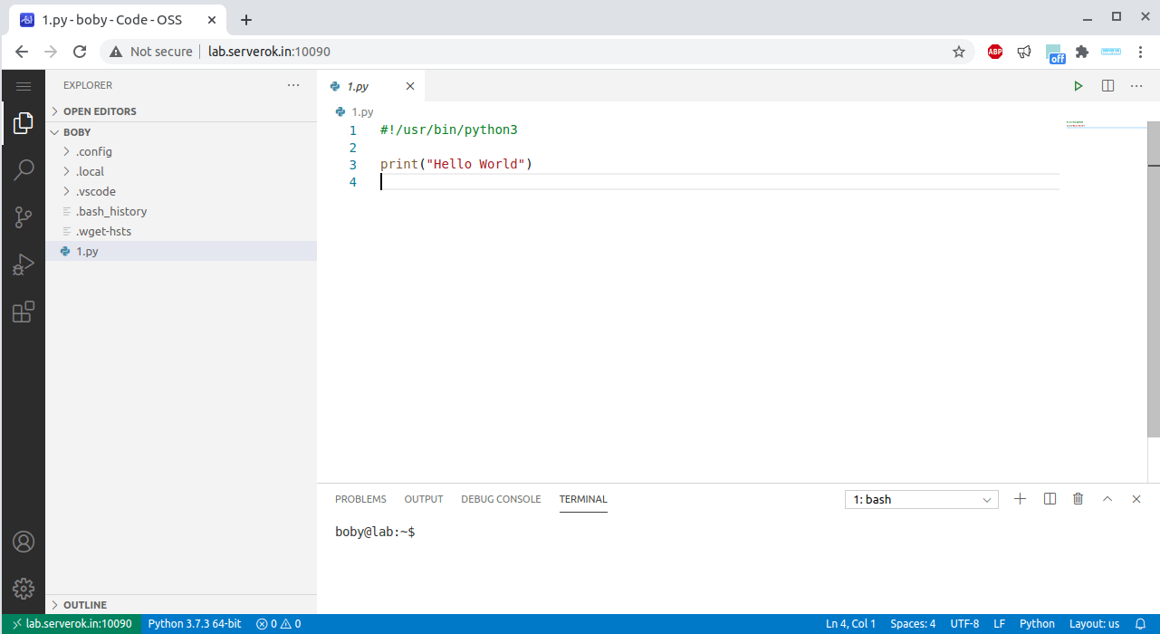 How to Install Visual Studio Code Server ServerOK