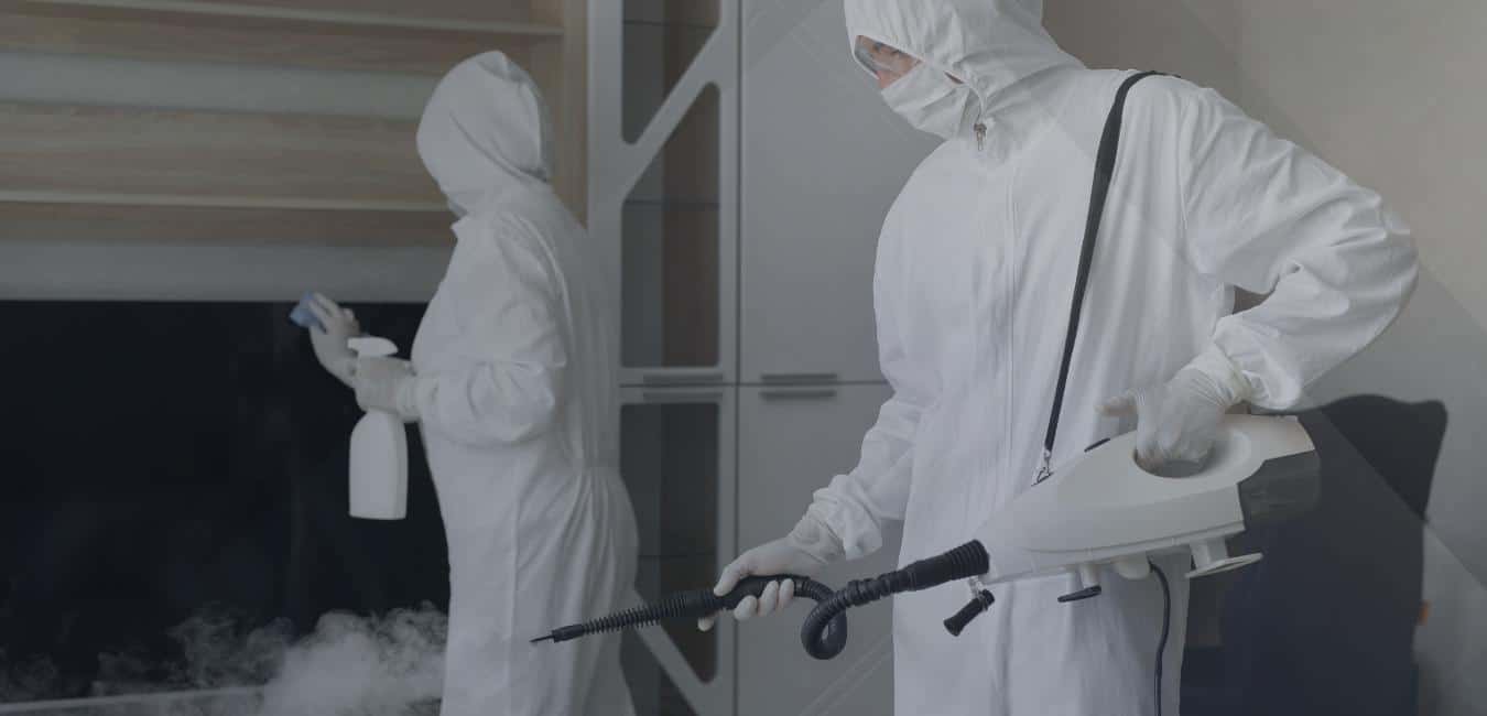 What is the difference between disinfection and sterilization