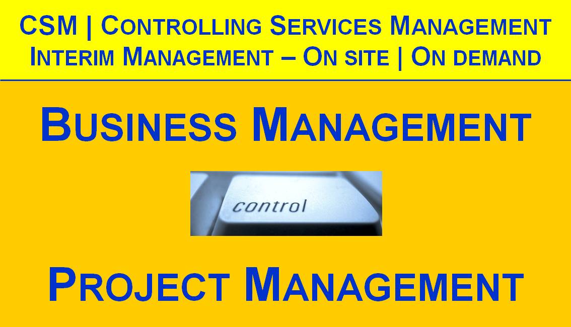 Requirements vs. Scope CSM Controlling Services Management