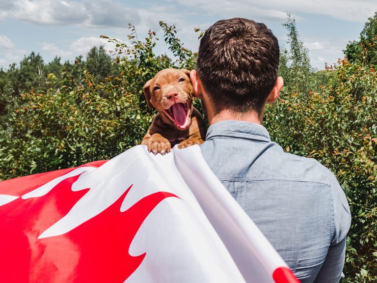 How To Register A Service Dog In Canada Instantly🍁 Service Dog