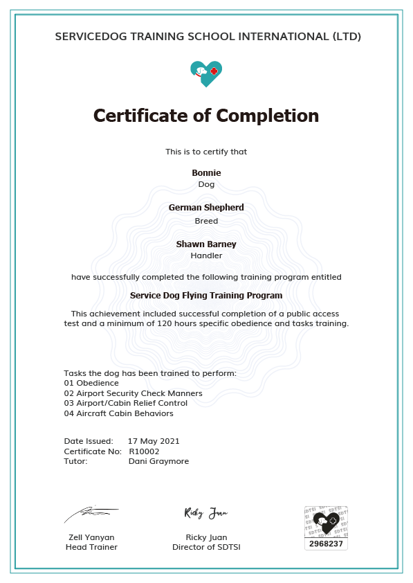 Certified Intensive Service Dog Training Course + Air Travel