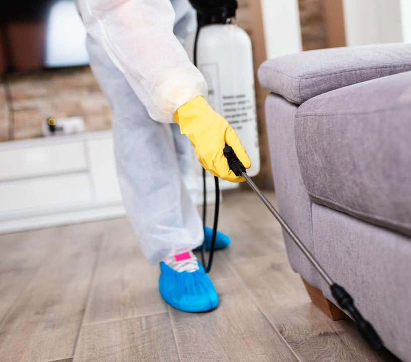 COVID19 Disinfection ServiceMaster Albino Disaster Restoration