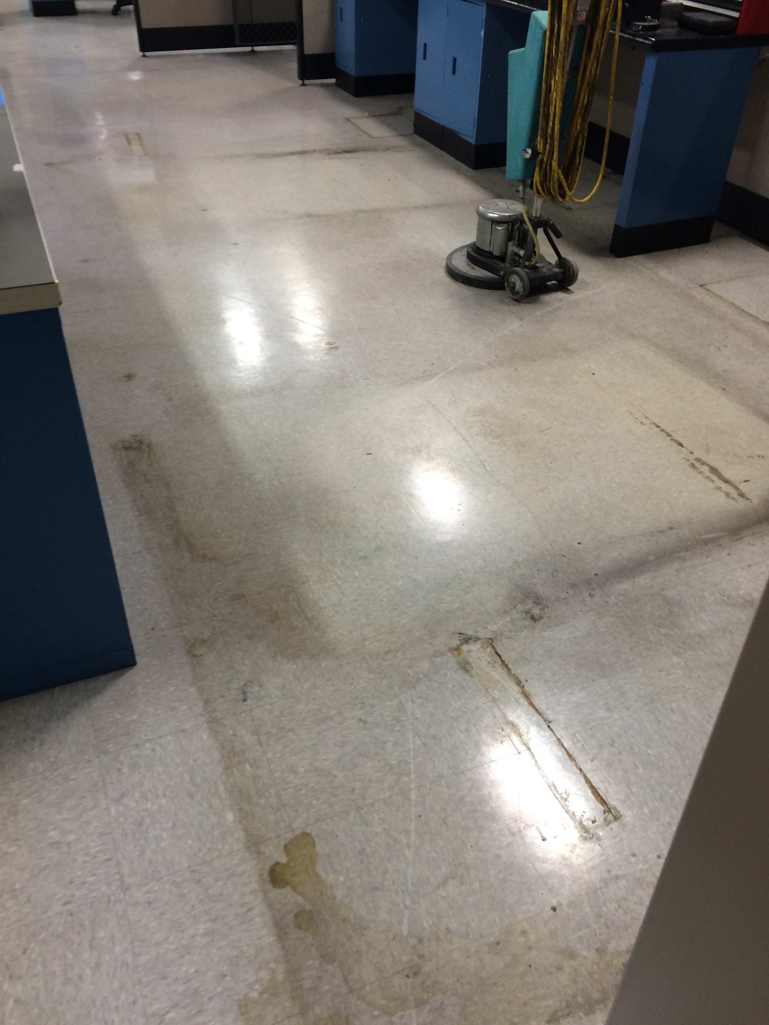 Commercial Floor and Carpet Cleaning Service in Anderson, IN