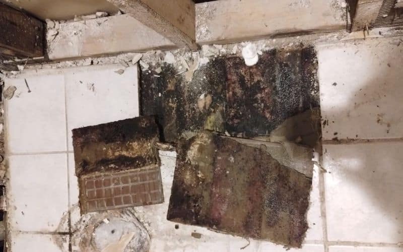 How to Check for Mold After Water Damage 7 Effective Steps