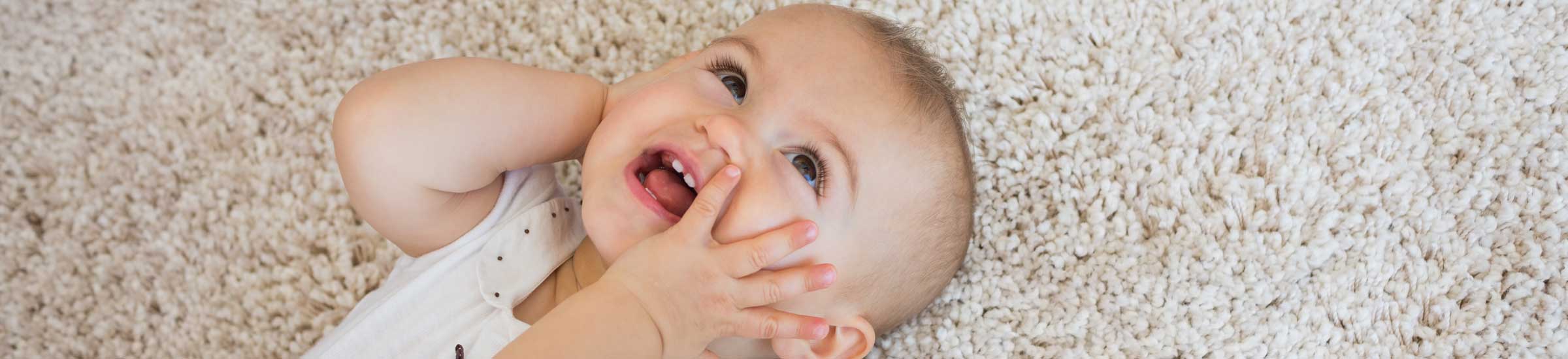 Carpet Cleaning North Vernon IN