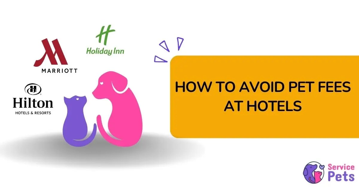 How to Avoid Pet Fees at Hotels 6 Proven Strategies to work