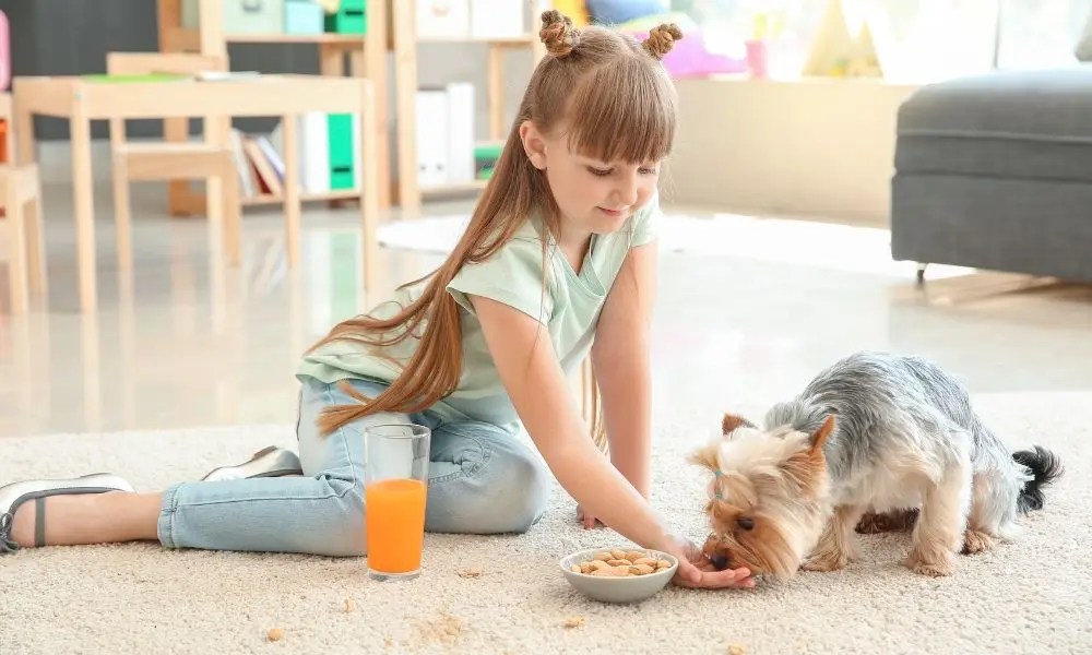 Can Dogs Eat Cashews? 3 Nutty Truths for Pet Owners Service Pets