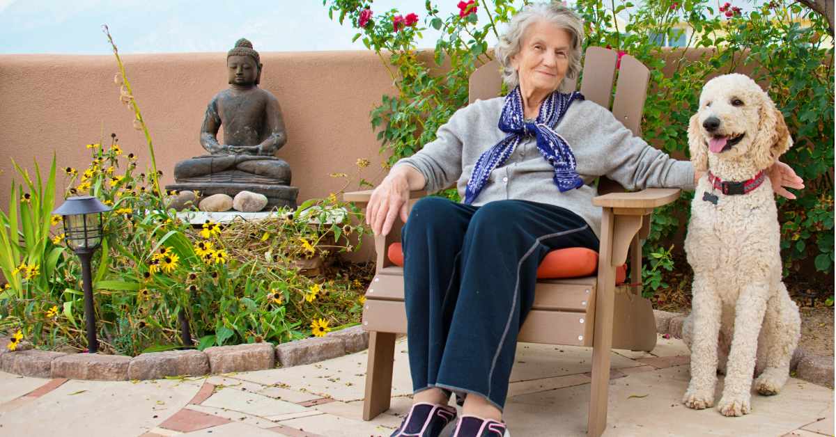 Emotional Support Animals Your Guide to Legitimate ESA Letters and Rights