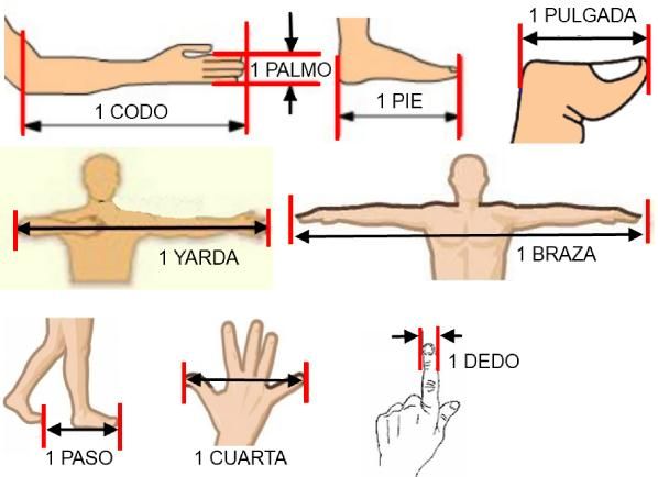 Los codos de Torricelli