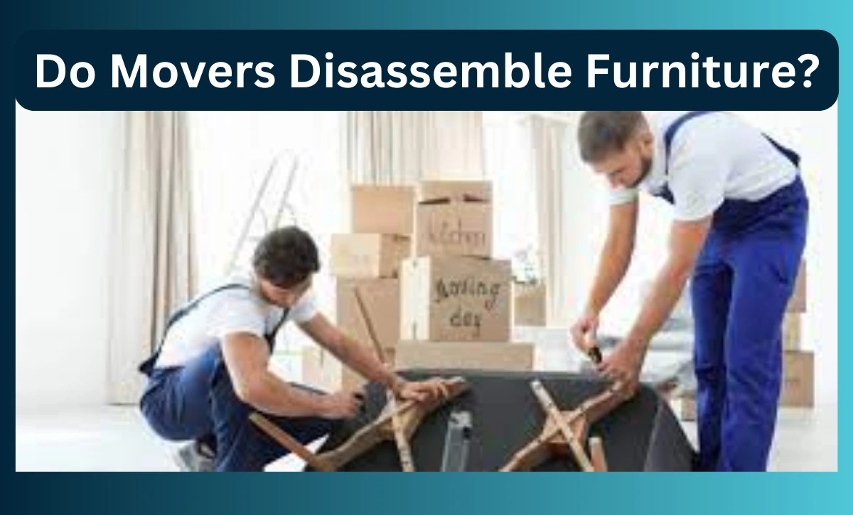 Do Movers Disassemble Furniture? Services Explainer