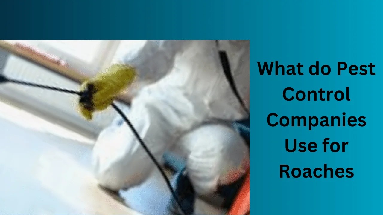 What do Pest Control Companies Use for Roaches?