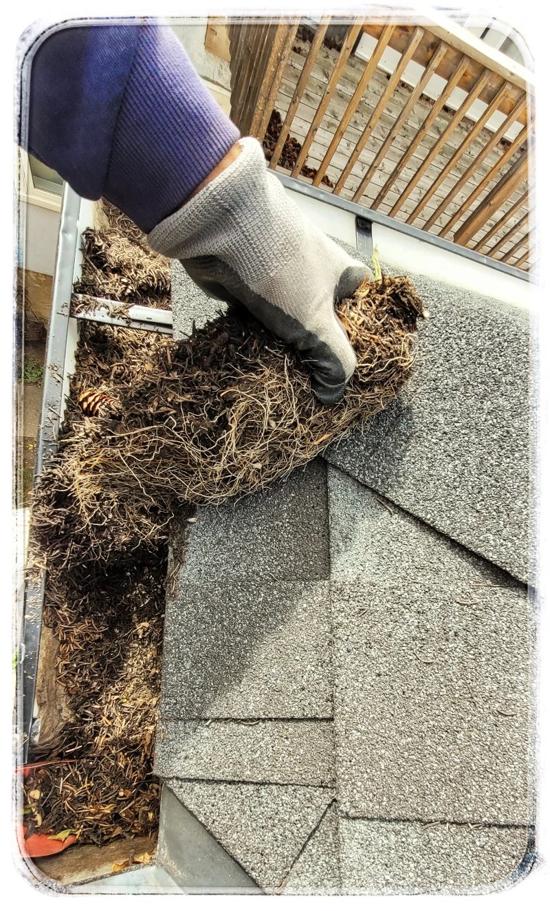 Affordable Gutter & Window Cleaning for Landlords Calgary Gutter