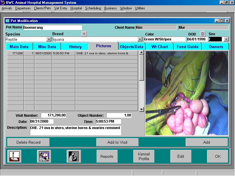 Manage Your Veterinary Practice With QuickVet File Attachments