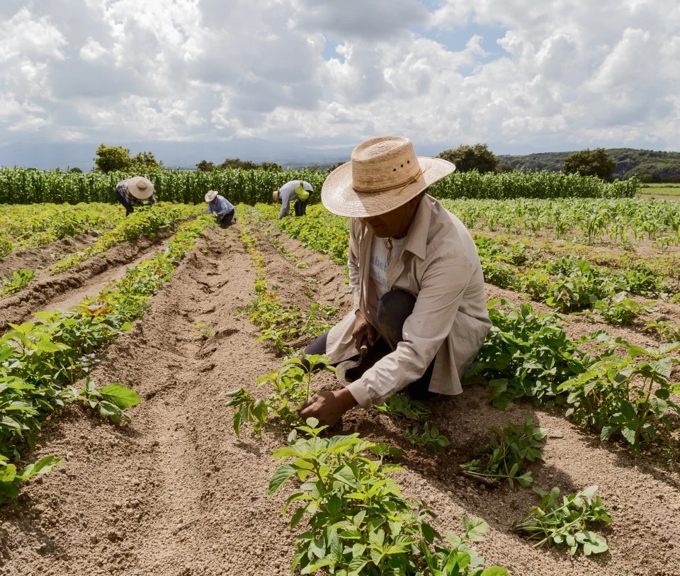 Commodity and raw material logistics SIC