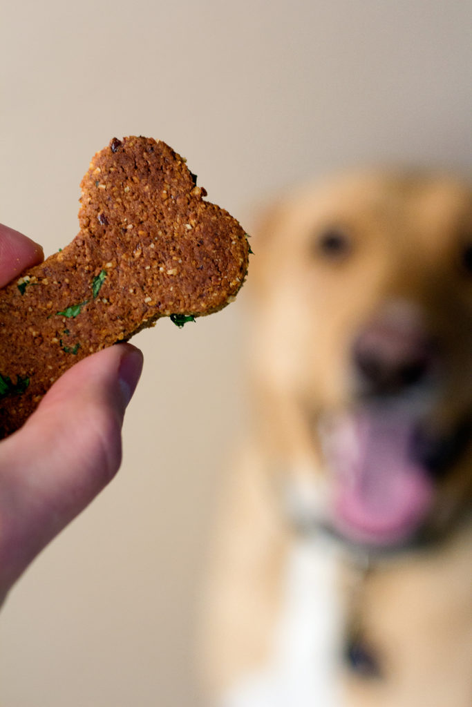 Homemade Vegan Dog Treat Recipe (with Nut Pulp!) Serving Realness