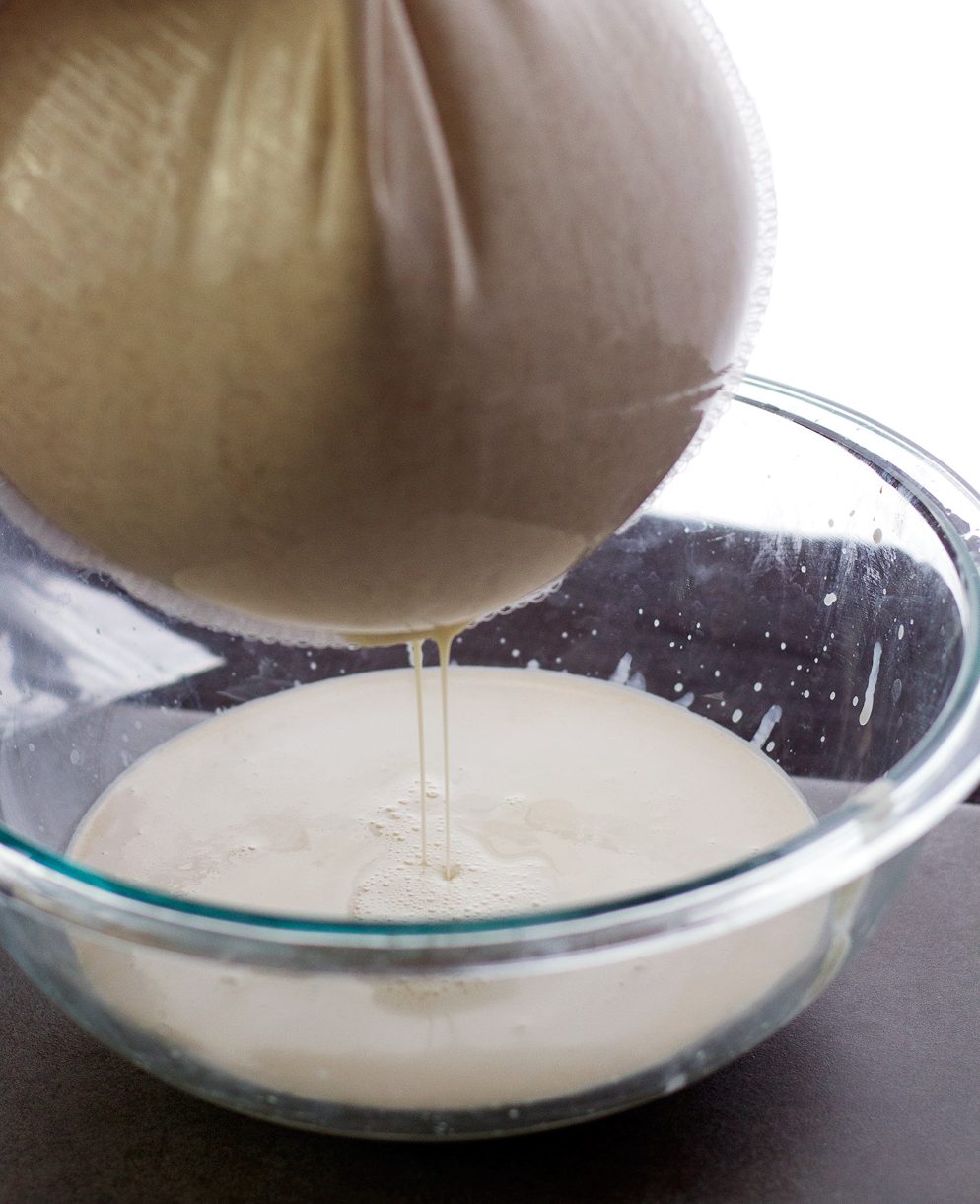 How to Make Nut Milk with Vitamix (Cashew & Almond Milk) Serving Realness