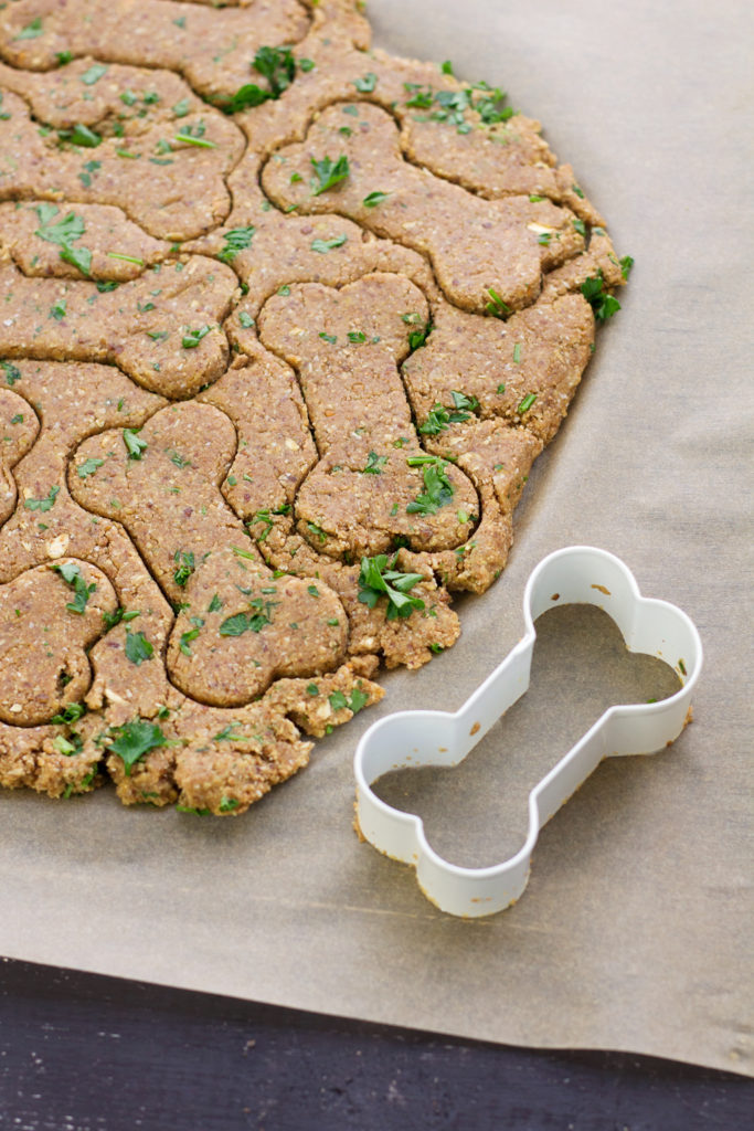 Homemade Vegan Dog Treat Recipe (with Nut Pulp!) Serving Realness