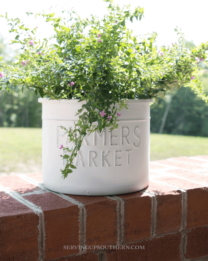 A Simple (New) Metal Flower Pot Makeover Serving Up Southern