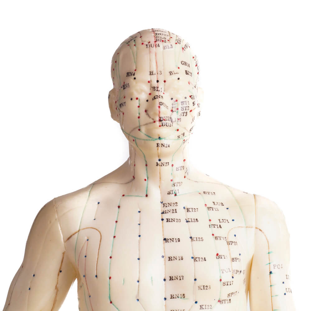 TCM The Idea of Qi in Traditional Chinese Medicine Sesame Disk