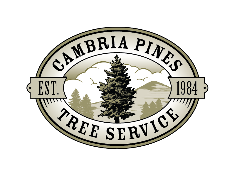 Cambria Pines Tree Service Session Design Studio