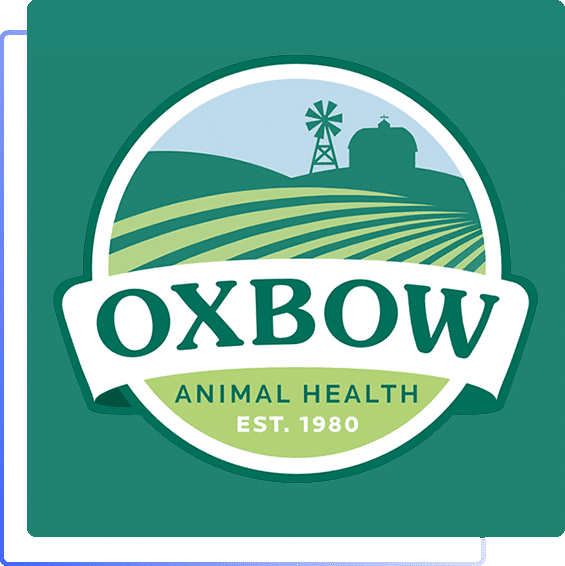 SEO Case Study Oxbow Animal Health